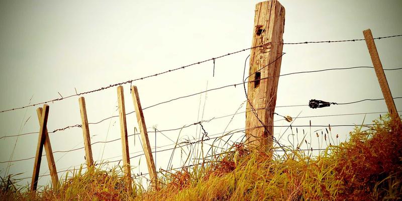 欧冠决赛巅峰对决 皇马与曼城战术解析与实时战况